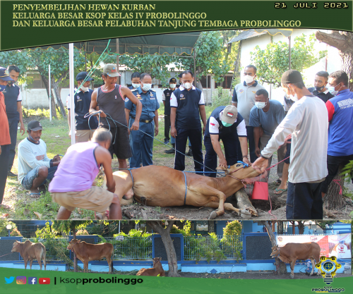 Pelaksanaan Penyembelihan Kurban Idul Adha KSOP Kelas IV Probolinggo