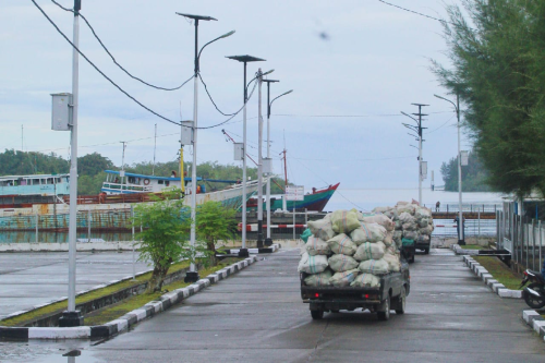 Kegiatan Muat Kelapa