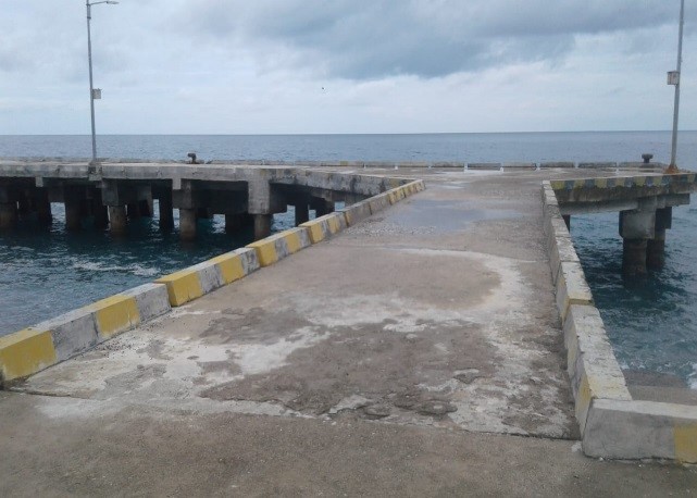 penerimaan CPNS